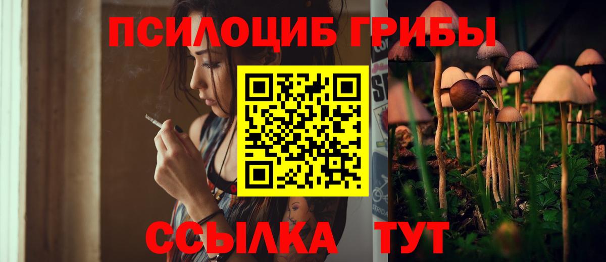 Галлюциногенные грибы MAGIC MUSHROOMS Назрань